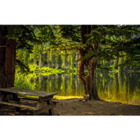 Календарь Трио На берегу озера на 2024 г.