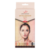 Карандаши цвет. 12цв  VISTA-ARTISTA  "Скинтонс"