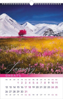 Календарь настенный перекидной РИГЕЛЬ  300*450мм на 2026г.  Цветущая планета