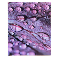 Фотоальбом 200 фото 10*15см Роса