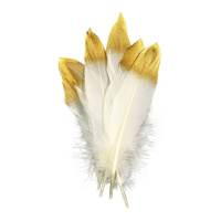 Набор Перья для декорирования №11 Золото/серебро, 17-20см