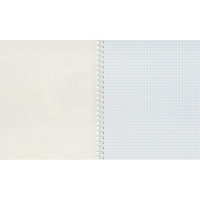 Тетрадь А5  48л кл  Lights of Petersburg, гребень