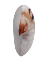 Игрушка антистресс 23см "Собака с бровями"