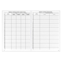 Классный журнал для 10-11 КЛАССОВ