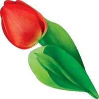 Украшение на скотче 20*8см  "Тюльпан"