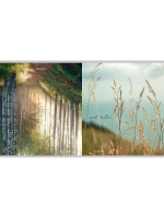 Тетрадь А5  96л кл. Проф-Пресс перевертыш "Виды природы - 7"