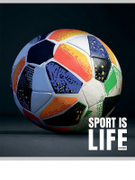 Тетрадь А5 48л кл. Проф-Пресс "Спортивная тема - 1" твин-лак., 5диз.в спайке