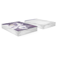 Альбом А4 20л клеевой кор. "Space Anime"