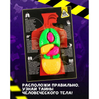 Набор для опытов Re-Агенты "Строение тела"