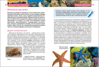 Книжка 222*165мм,  96стр. "Энциклопедия.  Удивительные животные"