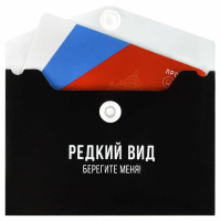 Конверт на кнопке  с рисунком 105*74мм, Фразы с характером