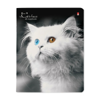 Тетрадь А5 48л  кл.,  "Кошки. Яркий взгляд" микс в спайке