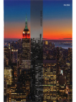 Тетрадь А4 7БЦ  80л кл. сшивка Проф-Пресс "Жизнь в мегаполисе" глянц.лам.