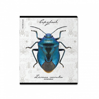 Тетрадь А5 48л кл. Erich Krause "Жуки,", УФ-лак выборочный+тиснение фольгой+ конгр.