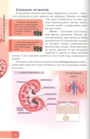 Книжка А4  32стр. "Энциклопедия. В мире знаний. Человек и его тело"