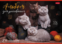 Альбом А4 24л скоба "Кототерапия" пл. 100 гр/м