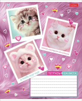 Тетрадь А5 24л кл. Hatber "Мяу-статусы" 5диз.в блоке, белизна 100%