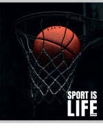 Тетрадь А5 48л кл. Проф-Пресс "Спортивная тема - 1" твин-лак., 5диз.в спайке