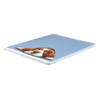 Тетрадь А5 48л кл. Феникс+ "Смешные собаки" выб.твин-лак, бел.100%