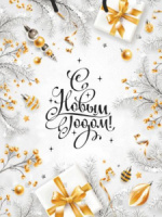 Пакет подар. бум. новогодн. 26*32*10см  Морозный узор