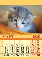 Календарь на магнтие отрывной  96*135мм на 2025г.  Котята