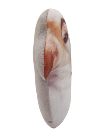 Мягкая игрушка 24см "Собака с бровями"