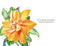 Открытка А5 "С Днем рождения!"