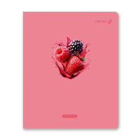 Тетрадь А5  96л кл. Светоч "Ягодный взрыв" выб.лак.