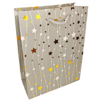 Пакет подар. бумажн. 18*24*8,5 см 210 гр/м2 Звездопад, микс дизайнов