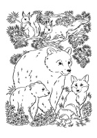 Выжигание набор досочек А4 "В лесу"