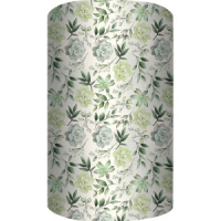 Бумага упаковочная 70*100см "Суккуленты"