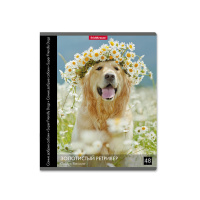 Тетрадь А5 48л кл. Erich Krause " Самые добрые собаки"