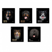 Тетрадь А5  96л кл. Erich Krause "Собаки" матовая ламинация MIX-PACK