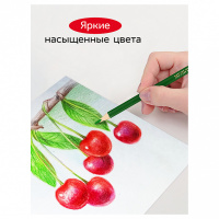 Карандаши цвет. 12цв  Гамма "Мультики", трехгранные