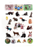 Альбом наклеек А5 8 стр., "100 наклеек. Забавные животные"