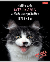 Тетрадь А5 40л кл. Hatber "Кот говорит!" белизна 98%