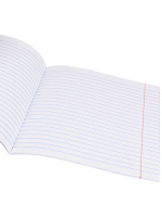 Тетрадь А5 12л лин. Проф-Пресс "Ласковые животные-1" 5диз.в спайке, белизна 100%