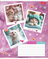 Тетрадь А5 24л кл. Hatber "Мяу-статусы" 5диз.в блоке, белизна 100%