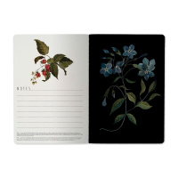 Записная книжка А5  40л. картон, сшивка "Лесные ягоды" кл.