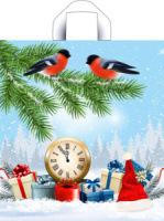 Пакет 42*44см (70мк) с петлевой ручкой "Пернатые друзья" ПВД