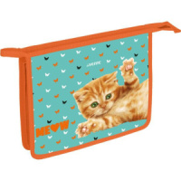 Папка д/тетрад. А5 (245*198*45) 1отд. молния сверху, картон с конгревным тиснением "Meow"