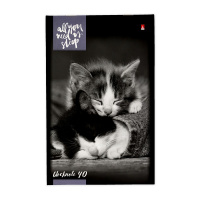 Блокнот А5  40л скоба "Котята" клетка