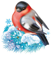 Плакат вырубной А4 "Снегирь"