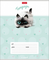 Тетрадь А5 12л кл. Hatber "Кошарики" 5 диз.в спайке, белизна 98%