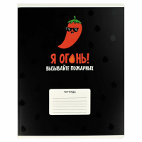 Тетрадь А5 24л кл. Феникс+ "Герои с характером" выб.УФ-лак, белизна 100%