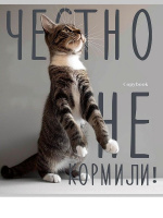 Тетрадь А5  96л кл. Проф-Пресс "Котики и надписи" лен, серебро