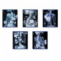 Тетрадь А5 48л кл. Erich Krause "Flower Ray", металлизир.голография MIX-PACK