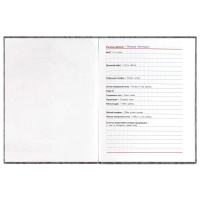 Алфавитная книга А6  80л 7БЦ "Пингвины и гуси" вырубка, лин.