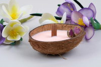 Фитили деревянные с держателями 14см, 5шт/уп