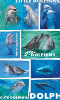 Наклейки детские 16*9см  "Дельфины" с блёстками